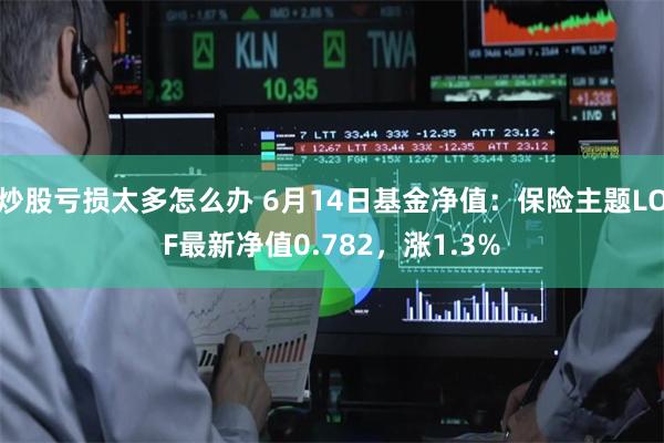 炒股亏损太多怎么办 6月14日基金净值：保险主题LOF最新净值0.782，涨1.3%