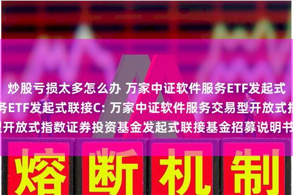 炒股亏损太多怎么办 万家中证软件服务ETF发起式联接A,万家中证软件服务ETF发起式联接C: 万家中证软件服务交易型开放式指数证券投资基金发起式联接基金招募说明书(更新)(2024年第1号)