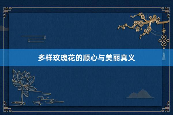 多样玫瑰花的顺心与美丽真义