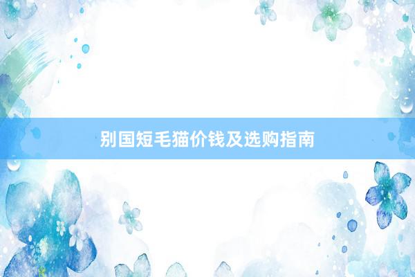 别国短毛猫价钱及选购指南