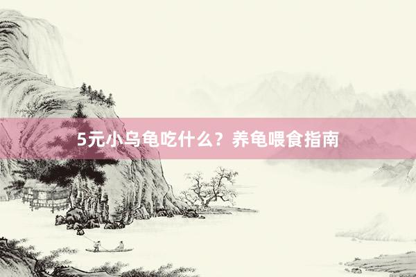 5元小乌龟吃什么？养龟喂食指南